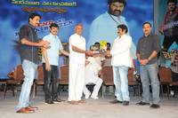 Legend Movie 50 days Celebrations Photos